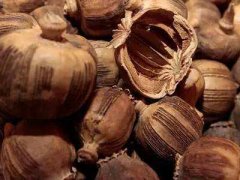 罂粟壳的功效与作用及禁忌,中药罂粟壳图片